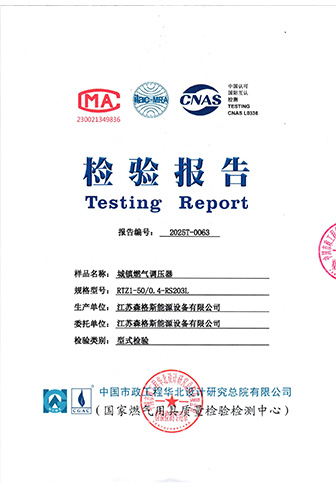 City Gas Pressure Regulator RS203L Type Test Report