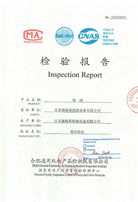 4" Class 150 Inspection Report