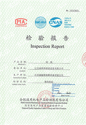 2”Class600 Inspection Report